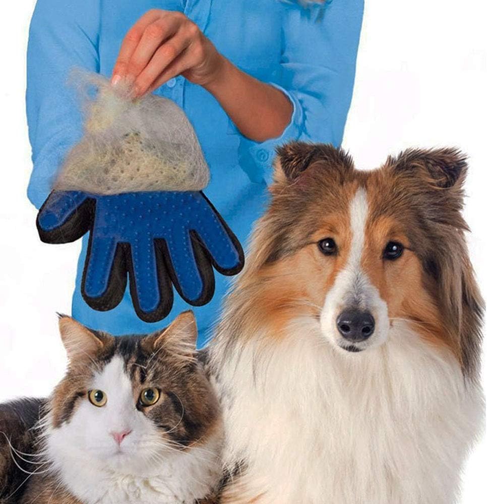 Rabbitton Roller Pet Hair Remover – Dog Hair Remover and Cat Hair Remover. Best Fur Remover to Make Couch Cleaner and More. Gift, a Pair of Pet Grooming Gloves are Included.