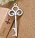 Awtlife 50 Pcs Rustic Vintage Key Bottle Opener with Card Tag and Sheer Bag for Wedding Party Favors