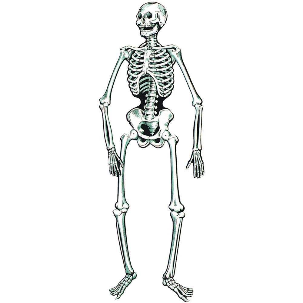 Life Size Jointed Paper Skeleton 1.4m Amazon.co.uk Toys & Games