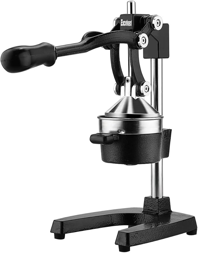 saftpresse edelstahl manuell test