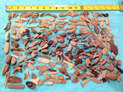 Driftwood 235 + MINI Premium Piece ( lot 148 ) Pacific Ocean Beach Comber Set Craft Nautical Decor Weddings Bulk Driftwood