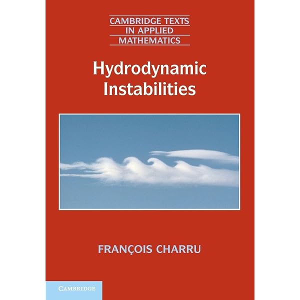 Stochastic Modelling of Reaction–Diffusion Processes (Cambridge