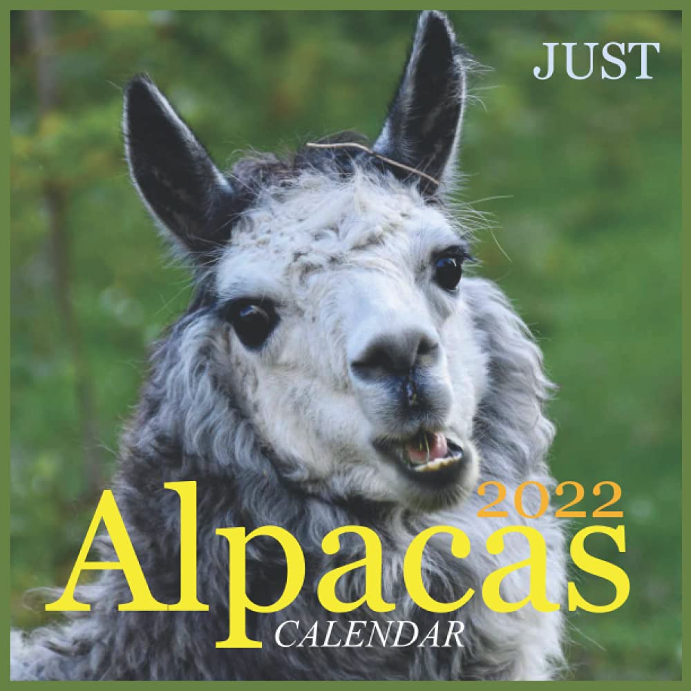 Alpaca Calendar 2022 Just Alpacas Calendar 2022: Official Alpaca Calendar 2022, 12 Months  ,Square 2022 Calendar , Llamas Calendar 2022 ,Cute Animal Calendar:  Amazon.co.uk: Pub Print, Calendar 2022: 9798508115586: Books