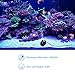 Lyqily 400GPH Water Pump Ultra Quiet 1500L/H 25W Submersible Fountain Aquarium Fish Pond Hydroponic Pump with 6.6ft High Lift, 5.9ft Three-pin Plug Power Cord, 3 Nozzles(0.51