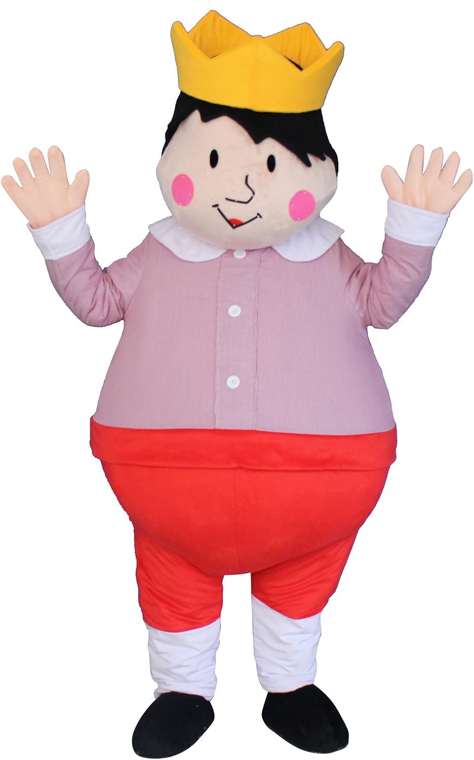 cartoon fancy dress for boy