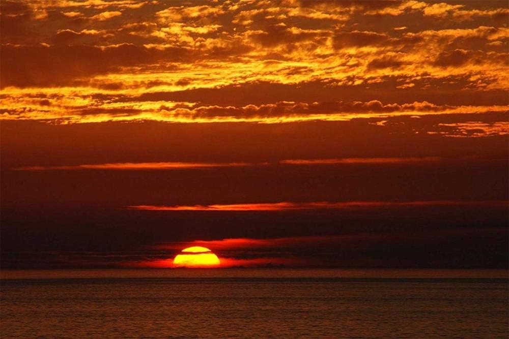 OfinaBiz Tochigi Made Jigsaw Puzzles for Adults 500 Piece Sunset Ocean Water Wooden Puzzles Toy Game Explore Creativity and Problem Solving
