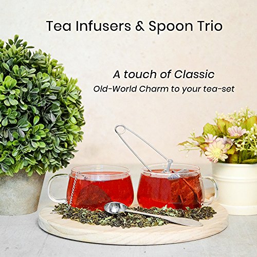 image for VAHDAM, Perfect Serve Tea Spoon | Stainless Steel Tea Scoop | PERFECT 