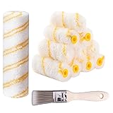 Paint Roller Kit, 20pcs 4 Inch 3/8" Nap Mini