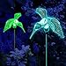Hummingbird Decor LED Solar Powered Acrylic Lights Color Changing Outdoor Decorations Ornament 3D Garden Gifts Yard Stakes Charm Figurines Statue Decorative Lamp (Set of 2)