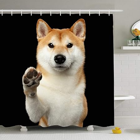 Green Haoke Studio Red Paw Cute Shiba Inu Dog Looks Funny