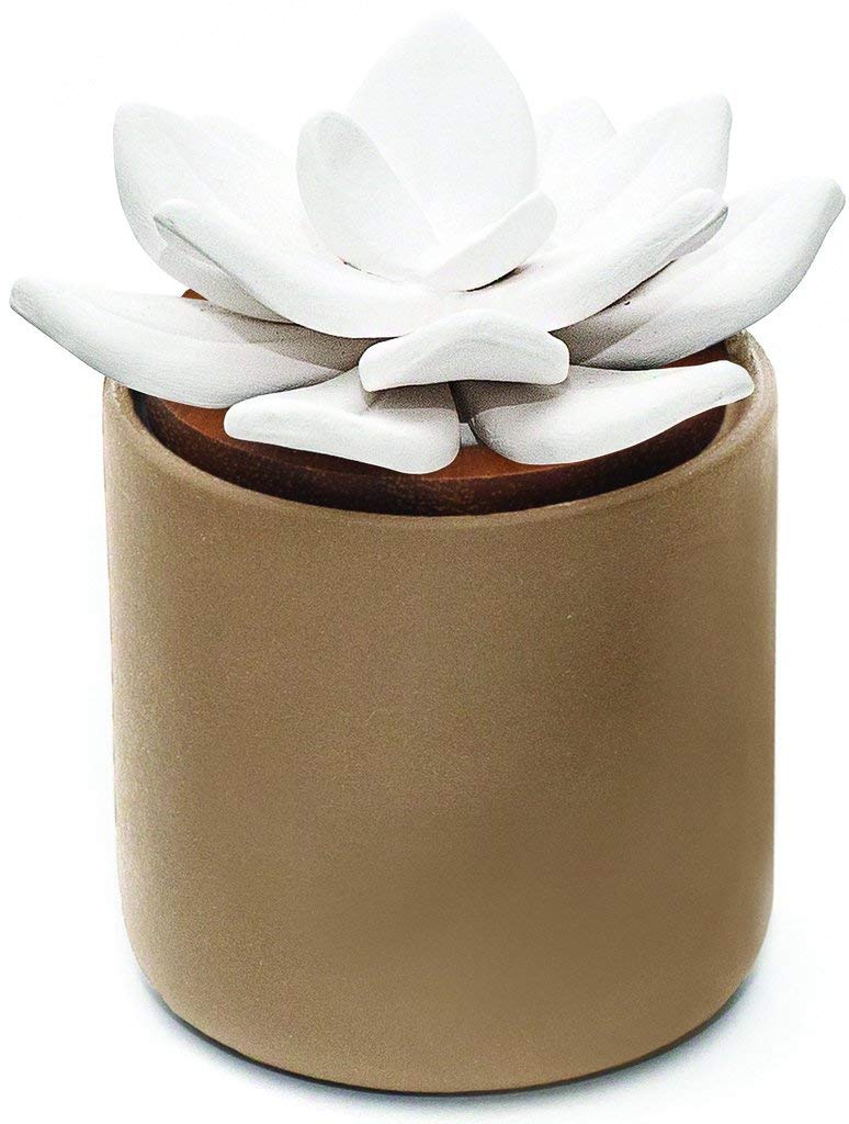 Best Edens Garden Ceramic Diffuser