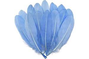 100pcs Light Blue Goose Feathers 6-8Inch for Christmas Dream Catchers Crafts Cosplay Clothing Accessories Wedding Party Decor