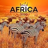 Wildlife Calendar - Calendars 2019 - 2020 Wall Calendar - Wild Africa Wall Calendar by Presco Group by