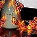 Senmao Halloween String Lights - 30 LED with Orange & Warm White Lights - 20ft, 8 Modes, IP65 Rated for Outdoor Patio, Garden & Parties