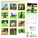 German Shorthaired Pointers 2018 12 x 12 Inch Monthly Square Wall Calendar with Foil Stamped Cover, Animals Dog Breeds