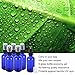 Fiery Youth Cobalt Blue Glass Spray Bottles, 6 Bottle Set, 2 oz (50ml), for Various Dilutions of Liquid, with Plastic Black Fine Mist Sprayers, Dust Caps and Glass Dropper