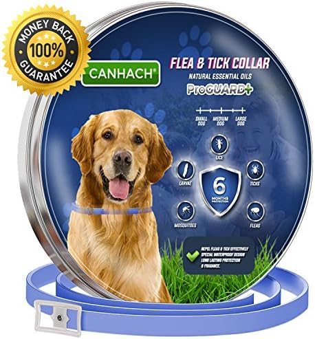 Flea and Tick Collar for Dogs 6 MONTHS Protection - Best Natural Pet Protection, Stops Bites, Itching, Kill Insects, Larvae, Eggs and fleas - Hypoallergenic, Waterproof, &amp; Fully Adjustable