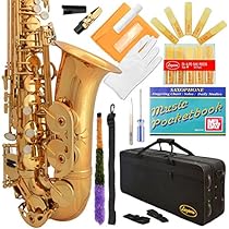 Lazarro 360-LQ E-Flat Eb Alto Saxophone Gold Lacquer with Case, 11 Reeds, Care Kit and Many Extras
