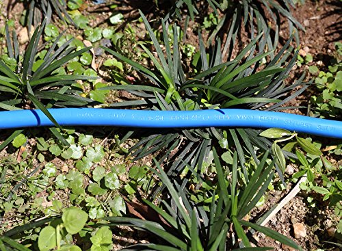 Miusco 50 ft 12 Gauge Heavy Duty Outdoor Extension Cord, 3 Prong, 12/3 SJTW, Triple Outlets, Lighted Plug, Fluorescent Blue