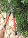 TABOR TOOLS GL18A Small Bypass Lopper, Short Bypass Tree Trimmer, Chops Branches with Ease, Branch Cutter with 1.25 Inch Clean Cut Capacity.