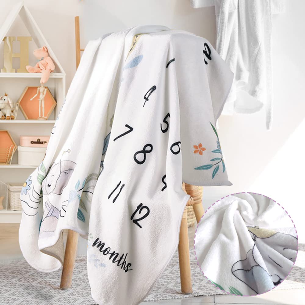 View 2