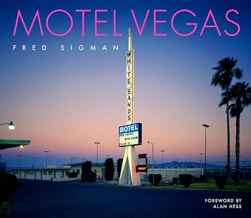 Download Motel Vegas PDF