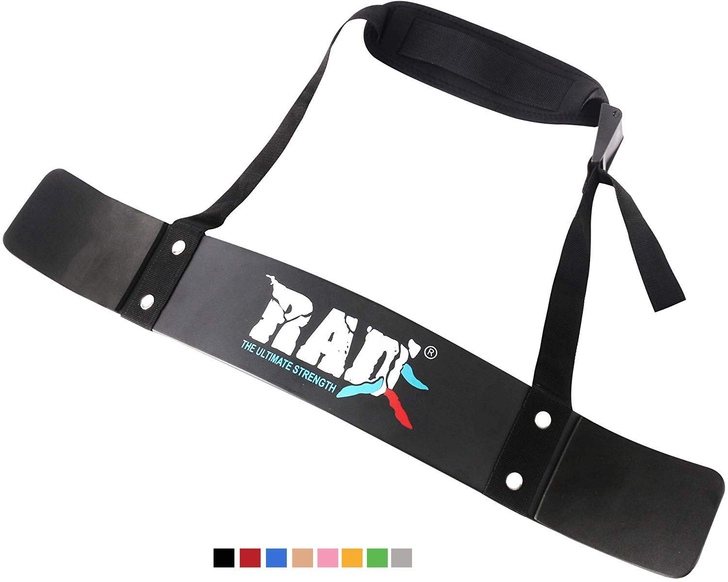 The 10 Best Body Building Bomber Bicep Curl Triceps