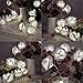 KINGSO 20 LED Battery Operated Rose Flower String Lights Wedding Garden Christmas Decor (White)