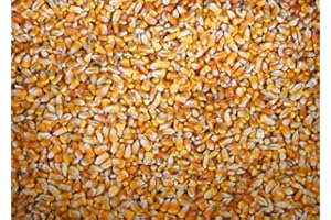 CZ GRAIN 4 Pounds Whole Kernel Feed Corn - Made in USA - Make Corn Meal