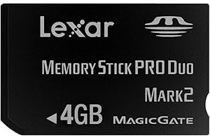 Lexar LMSPD4GBBSBNA Platinum II 4 GB Memory Stick Pro Duo Flash Memory Card
