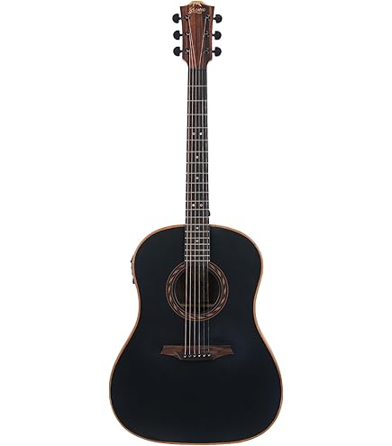 Bromo Guitars BAT 4MCE ブロモギター　エレアコ Amazon.com: Bromo BAT 4MCE SG Solid Top Dreadnought Acoustic