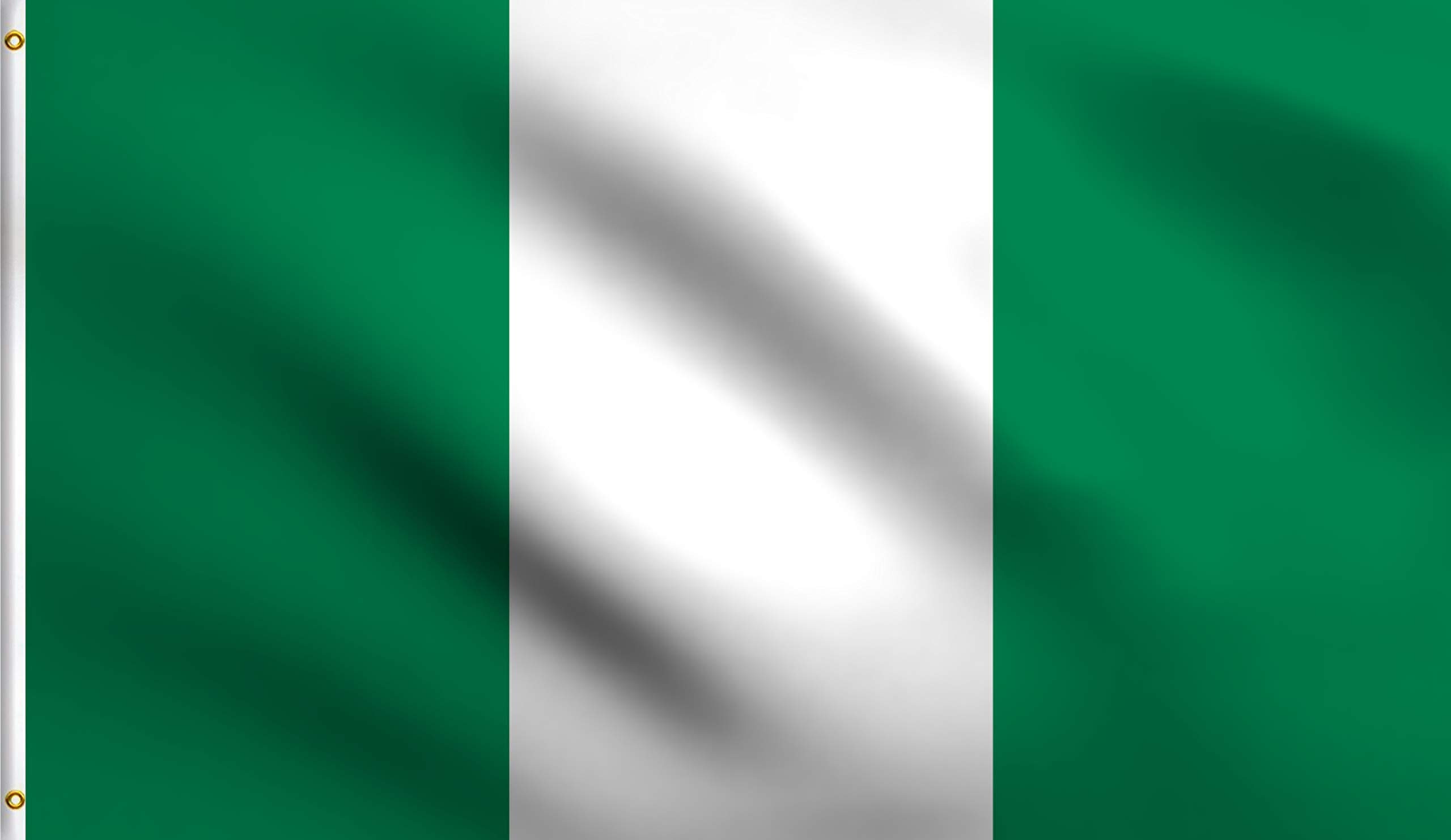 DMSE Nigeria Nigerian National Flag 3X5 Ft Foot 100% Polyester 100D Flag UV Resistant (3' X 5' Ft Foot)