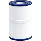 DAYEAR PDM30 SPA Filter Replacement Oval Hot Tub Filter Cartridge 30 Sq. Ft. (1 Pack) for 461269 FC-9940 FC9940M 730L 730S