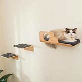 LIORCE Cat Wall Shelves with 2 Steps, Creative Design Cat Shelf with Peephole, 19 x 10 inch Cats Wall Furniture with Comfortable Pad, Cats Perch for Sleeping, Playing, and Scratching.