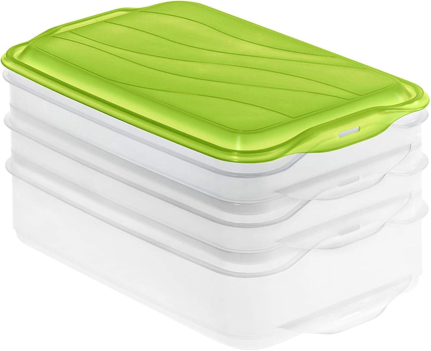 Rotho Rondo 3-teilige Vorratsdose 2x 0,75l und 1x 1,35l mit Deckel, Kunststoff (PP) BPA-frei, grün/transparent, 2 x 0,75l + 1 x 1,35l (23,5 x 15,5 x 11,5 cm)