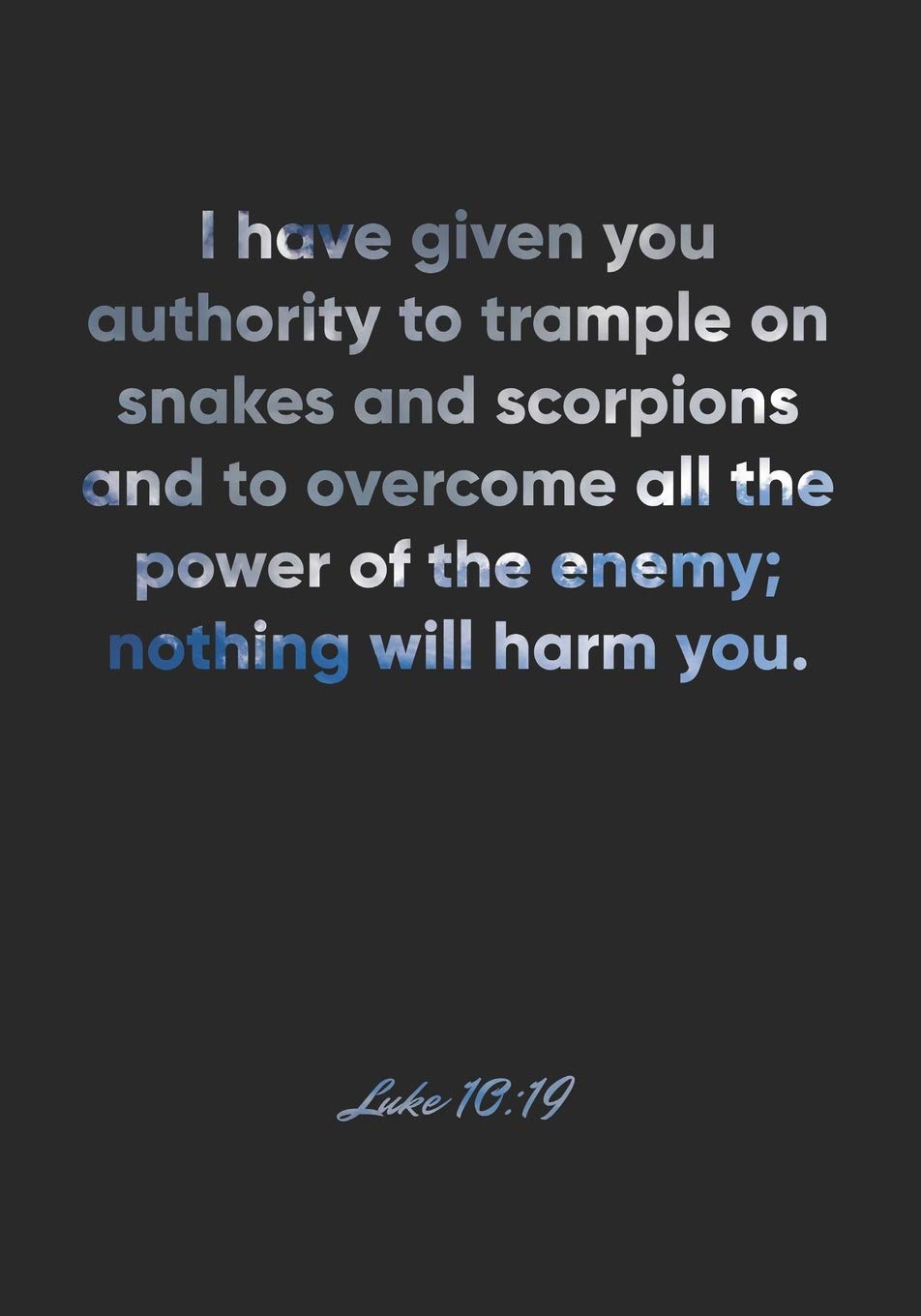 Luke 10:19 Notebook: I Have Given You Authority To Trample On Snakes And  Scorpions And To Overcome All The Power Of The Enemy; Nothing Will Harm  You.: ... Christian Journal/Diary Gift, Doodle