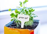 KINGLAKE Plant Labels and Pen 100 Pcs 6x10cm T-Type PVC White Garden Tags view 4