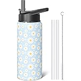 Sabobo 18oz Daisy Water Bottles with Flip Straw & Spout Lid, Double Wall Stainless Steel Travel Sport Bottle, Blue Gym Gifts for Women Men (1PC)