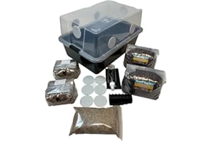 MYCO LABS Mushroom Monotub Large 66Q Grow Kit | Complete Mushroom Grow Kit | for Dung-Loving Mushrooms | Includes 2 sterilized Grain Spawn Bags, Bulk Substrate, Vermiculite, Filters & More! Just add Spores