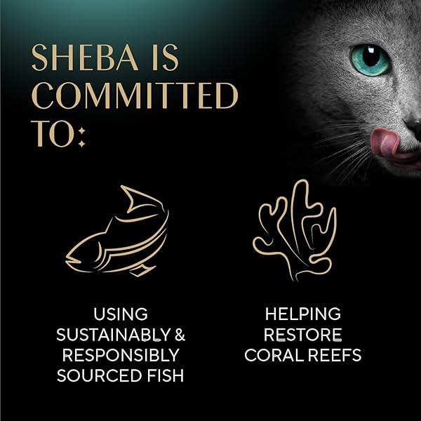 SHEBA PERFECT PORTIONS WET CAT FOOD CUTS IN GRAVY VARIETY PACK, WITH SUSTAINABLE SALMON, WITH SUSTAINABLE TUNA, AND DELICATE WHITEFISH & TUNA ENTREE, 2.6 OZ. TWIN-PACK TRAYS (24 COUNT, 48 SERVINGS)