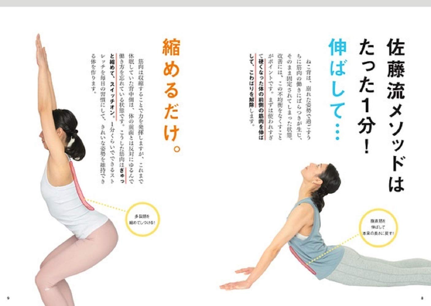 まるい背中は縮めて伸ばす 魔法のねこ背ストレッチ 佐藤義人 本 通販 Amazon