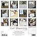 Cat Shaming 2018 Calendar