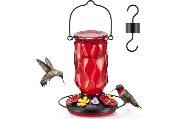Kingsyard Glass Hummingbird Feeder for Outdoors Hanging, 20 oz Leak-Proof Hummingbird Feeders with 9 Bee Proof Feeding Ports