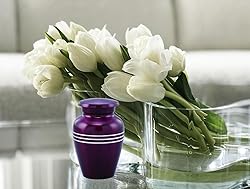 Immortal-Memories Serenity Keepsake Urn for Ashes