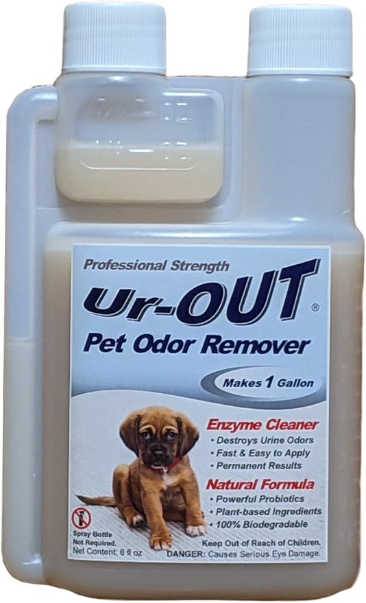 How To Get Cat Pee Smell Out Of Carpet Odor Expert Reveals All