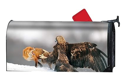 Amazoncom Taocaihop Nature Eagle Fox Snow Fighting Golden