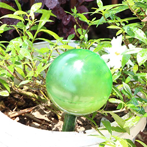 6 Automatic+Watering+Bulb+Gardening+Self+Watering