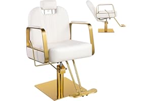 Hicomony White Salon Chair for Hair Stylist, Barber Chair for Home Barbershop Reclining,Hair Stylist Chair with 360°Rotation,130°Recline,Beauty Shampoo Brading Hairdresser Chair