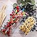 Boao 150 Pcs Dog Pet Paw Print Cellophane Bags Treat Gift Candy Cookie Bags with 150 Pieces Twist Ties for Dog Party Favor Decorations(Black)