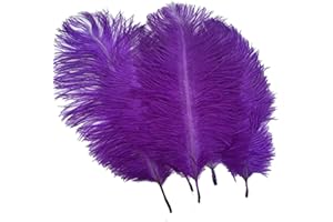 ADAMAI 10PCS Natural 7.8-9.8inch Ostrich Feathers Plume for Wedding Centerpieces Home Decoration (Purple)